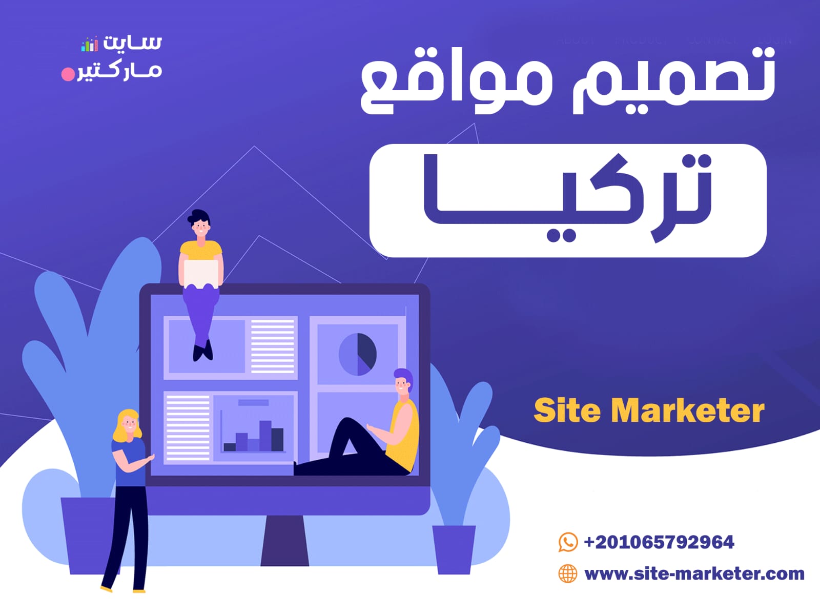 Web design in Turkey